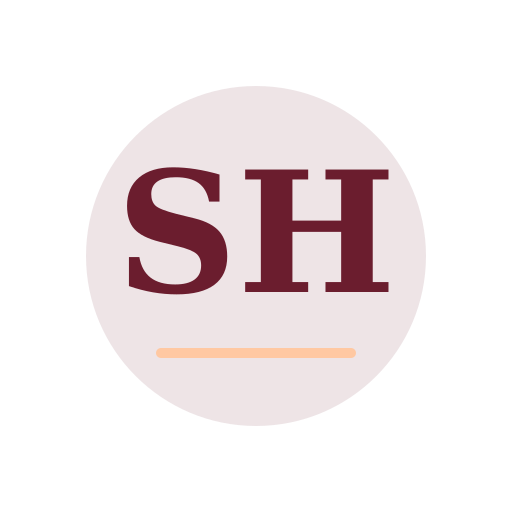 Silver Hills Dryer Cleaning Services logo